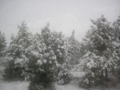 VIAJE A SANTO DOMINGO DE SILOX NOV 2008