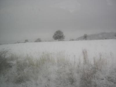 VIAJE A SANTO DOMINGO DE SILOX NOV 2008