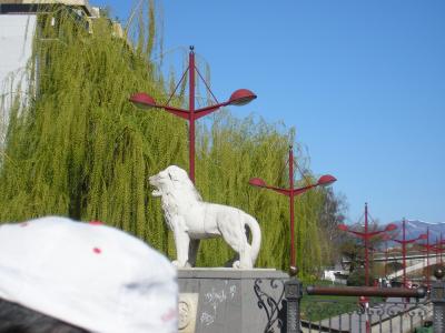 LE&Oacute;N 22 DE MARZO DEL 2009