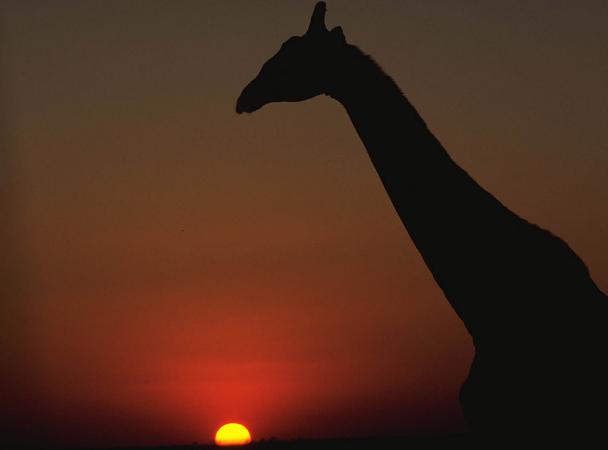 EL PARQUE NATURAL DE CABARCENO