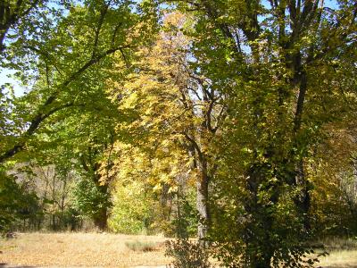 OTO&Ntilde;O RIODULCE 2010