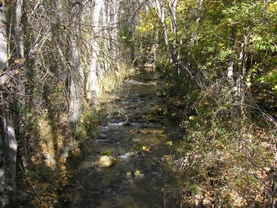 OTO&Ntilde;O RIODULCE 2010