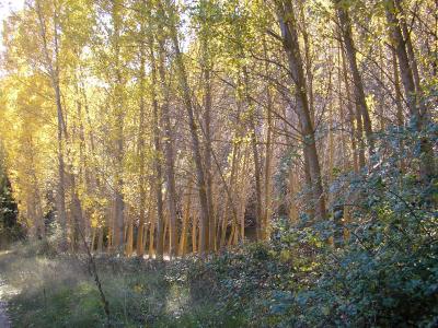 OTO&Ntilde;O RIODULCE 2010