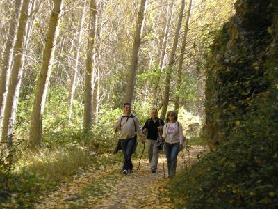 OTO&Ntilde;O RIODULCE 2010