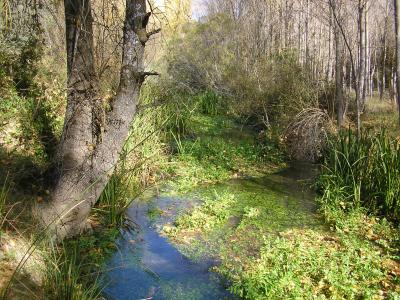 OTO&Ntilde;O RIODULCE 2010
