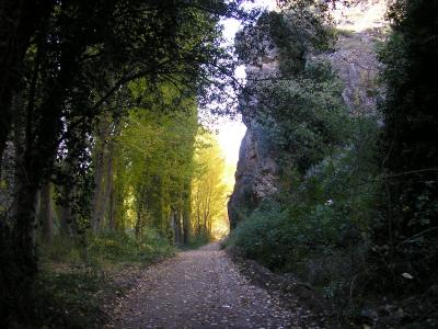 OTO&Ntilde;O RIODULCE 2010