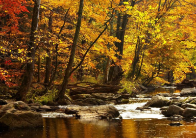 OTO&Ntilde;O RIODULCE 2010